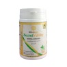 Secret Vitality (moringa + gingembre)